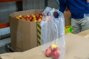 Photo of apples in a clear plastic bag