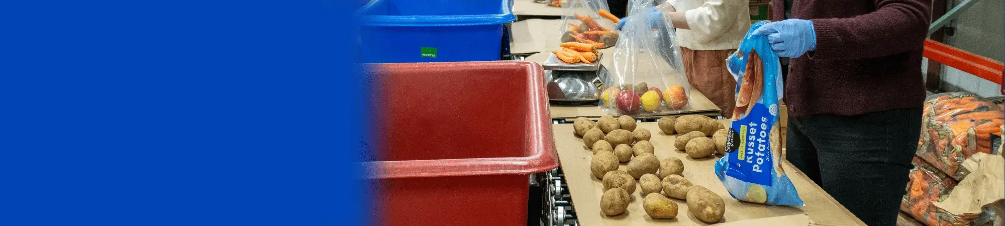 Photo of someone unbagging russet potatoes